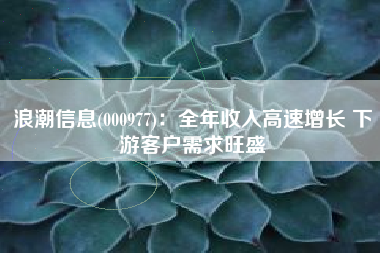 浪潮信息(000977)：全年收入高速增长 下游客户需求旺盛