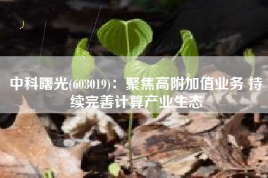 中科曙光(603019)：聚焦高附加值业务 持续完善计算产业生态