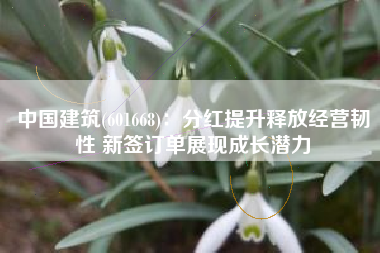 中国建筑(601668)：分红提升释放经营韧性 新签订单展现成长潜力