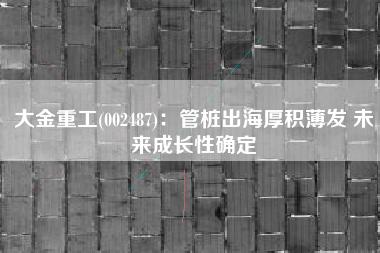 大金重工(002487)：管桩出海厚积薄发 未来成长性确定