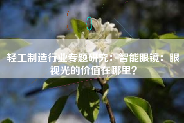 轻工制造行业专题研究：智能眼镜：眼视光的价值在哪里？