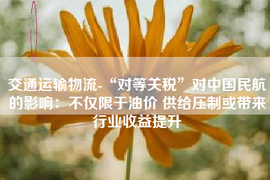 交通运输物流-“对等关税”对中国民航的影响：不仅限于油价 供给压制或带来行业收益提升