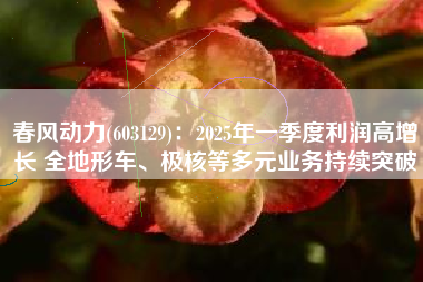 春风动力(603129)：2025年一季度利润高增长 全地形车、极核等多元业务持续突破