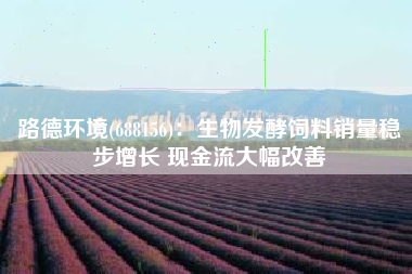 路德环境(688156)：生物发酵饲料销量稳步增长 现金流大幅改善