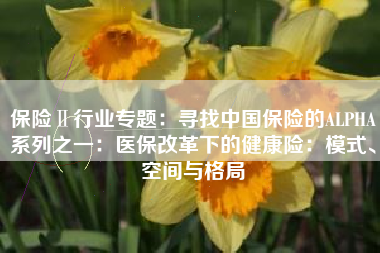 保险Ⅱ行业专题：寻找中国保险的ALPHA系列之一：医保改革下的健康险：模式、空间与格局