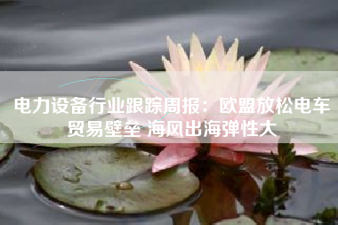 电力设备行业跟踪周报：欧盟放松电车贸易壁垒 海风出海弹性大