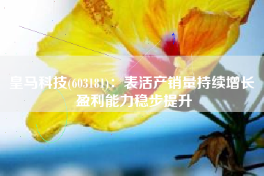 皇马科技(603181)：表活产销量持续增长 盈利能力稳步提升