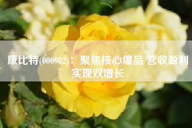 康比特(000982)：聚焦核心爆品 营收盈利实现双增长