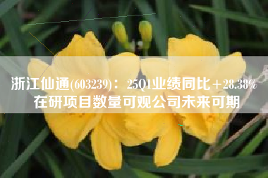 浙江仙通(603239)：25Q1业绩同比+28.38% 在研项目数量可观公司未来可期