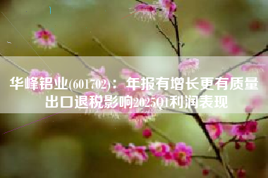 华峰铝业(601702)：年报有增长更有质量 出口退税影响2025Q1利润表现