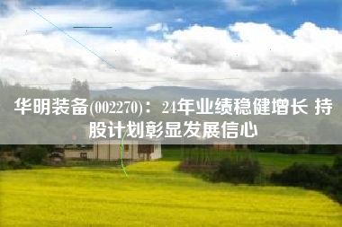 华明装备(002270)：24年业绩稳健增长 持股计划彰显发展信心