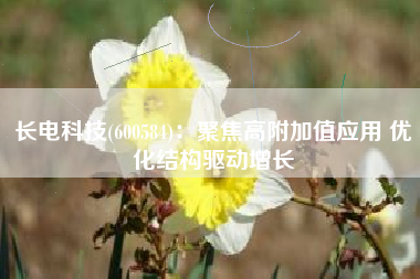 长电科技(600584)：聚焦高附加值应用 优化结构驱动增长