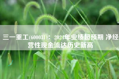 三一重工(600031)：2024年业绩超预期 净经营性现金流达历史新高