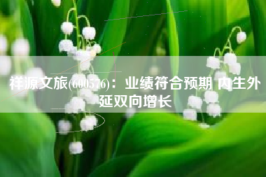 祥源文旅(600576)：业绩符合预期 内生外延双向增长