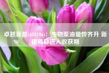卓越新能(688196)：生物柴油量价齐升 新建项目进入收获期