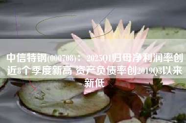 中信特钢(000708)：2025Q1归母净利润率创近8个季度新高 资产负债率创2019Q3以来新低