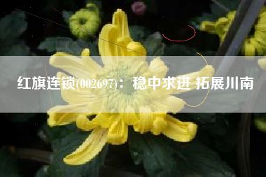 红旗连锁(002697)：稳中求进 拓展川南