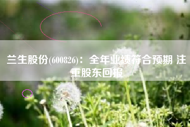 兰生股份(600826)：全年业绩符合预期 注重股东回报