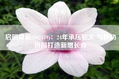 启明星辰(002439)：24年承压较大 与移动协同打造新增长点