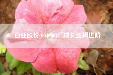 百亚股份(003006)：成长逻辑进阶