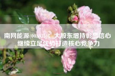 南网能源(003035)：大股东增持彰显信心 继续立足优势打造核心竞争力