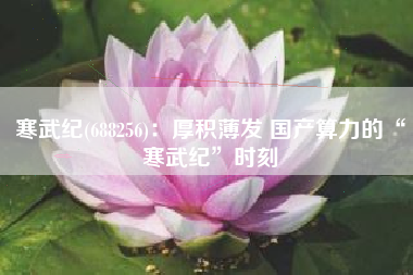 寒武纪(688256)：厚积薄发 国产算力的“寒武纪”时刻