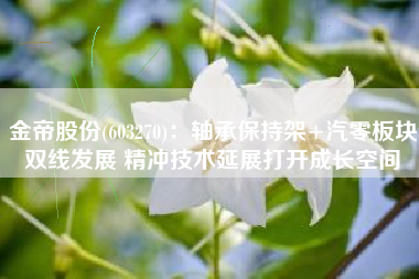 金帝股份(603270)：轴承保持架+汽零板块双线发展 精冲技术延展打开成长空间