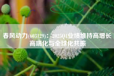 春风动力(603129)：2025Q1业绩维持高增长 高端化与全球化共振