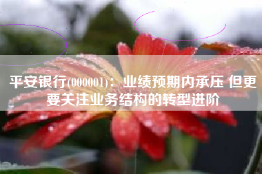平安银行(000001)：业绩预期内承压 但更要关注业务结构的转型进阶