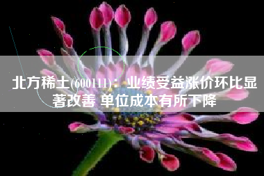 北方稀土(600111)：业绩受益涨价环比显著改善 单位成本有所下降