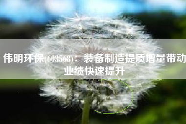 伟明环保(603568)：装备制造提质增量带动业绩快速提升