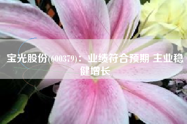 宝光股份(600379)：业绩符合预期 主业稳健增长