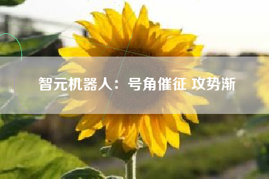 智元机器人：号角催征 攻势渐