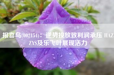 报喜鸟(002154)：逆势投放致利润承压 HAZZYS及乐飞叶展现活力