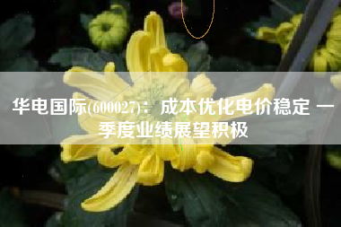 华电国际(600027)：成本优化电价稳定 一季度业绩展望积极