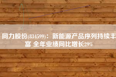 同力股份(834599)：新能源产品序列持续丰富 全年业绩同比增长29%