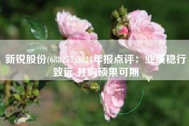 新锐股份(688257)2024年报点评：业绩稳行致远 并购硕果可期