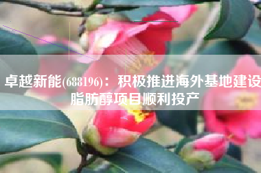 卓越新能(688196)：积极推进海外基地建设 脂肪醇项目顺利投产