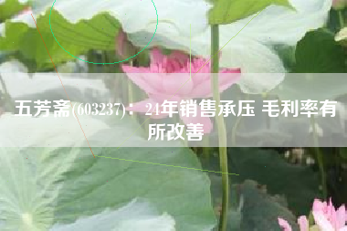 五芳斋(603237)：24年销售承压 毛利率有所改善