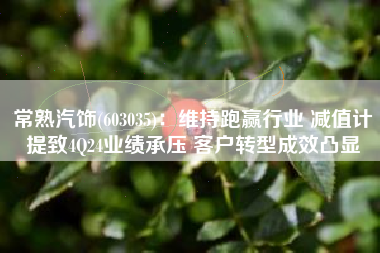 常熟汽饰(603035)：维持跑赢行业 减值计提致4Q24业绩承压 客户转型成效凸显
