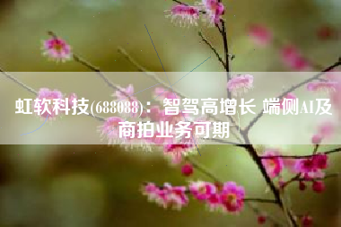 虹软科技(688088)：智驾高增长 端侧AI及商拍业务可期