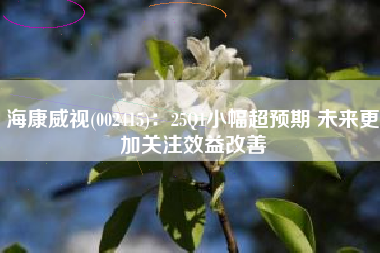 海康威视(002415)：25Q1小幅超预期 未来更加关注效益改善