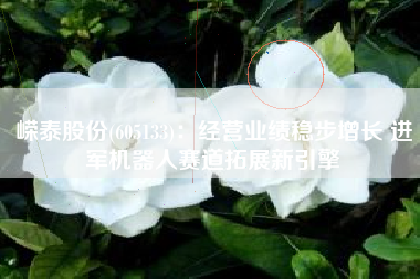 嵘泰股份(605133)：经营业绩稳步增长 进军机器人赛道拓展新引擎