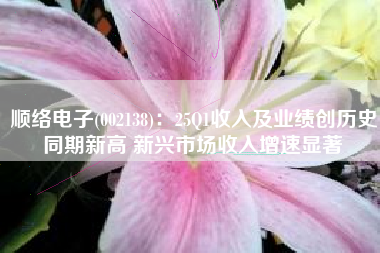 顺络电子(002138)：25Q1收入及业绩创历史同期新高 新兴市场收入增速显著