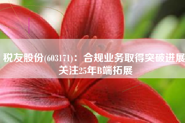 税友股份(603171)：合规业务取得突破进展 关注25年B端拓展