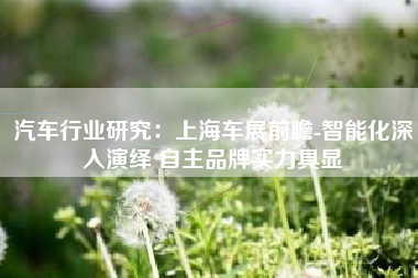 汽车行业研究：上海车展前瞻-智能化深入演绎 自主品牌实力具显