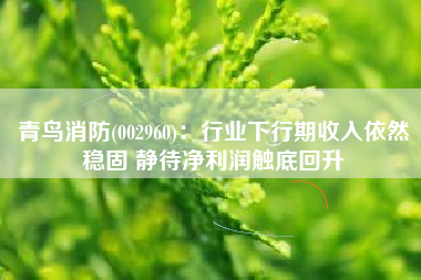 青鸟消防(002960)：行业下行期收入依然稳固 静待净利润触底回升
