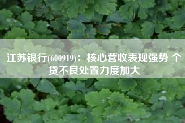 江苏银行(600919)：核心营收表现强势 个贷不良处置力度加大