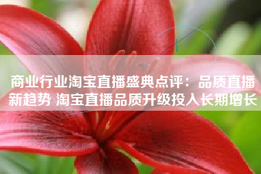 商业行业淘宝直播盛典点评：品质直播新趋势 淘宝直播品质升级投入长期增长