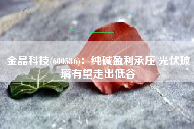 金晶科技(600586)：纯碱盈利承压 光伏玻璃有望走出低谷